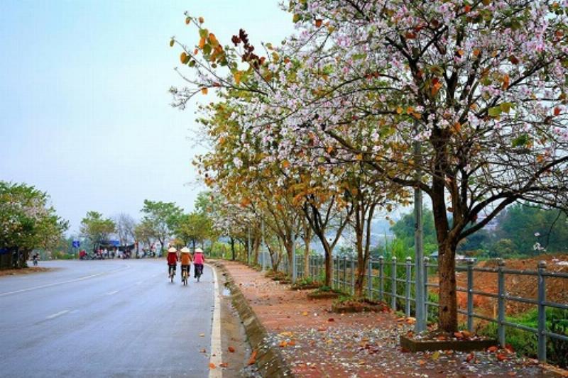 Hành trình bay từ Điện Biên về Hà Nội qua mây trời với vé máy bay Điện Biên Hà Nội